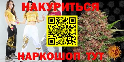 Альфа ПВП Дубна