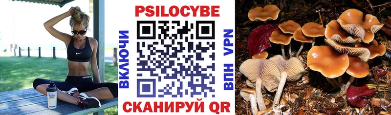 Псилоцибиновые грибы прущие грибы где купить наркоту Строитель