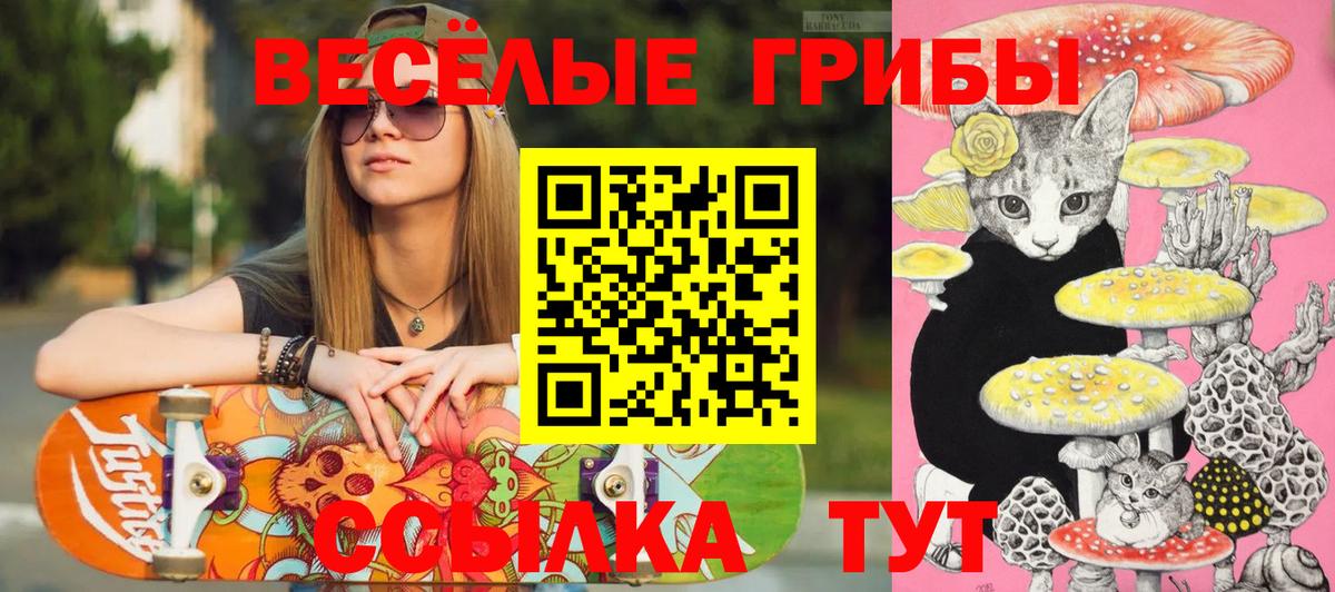 Канабис  Cocaine  Наркошоп  Альфа ПВП СК   ГАШ  Строитель  Метамфетамин  Мефедрон кристаллы  Вход с VPN 